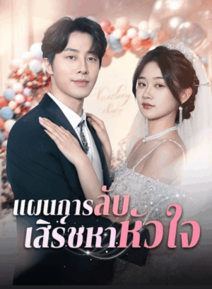 แผนการลับ เสิร์ชหาหัวใจ ซับไทย (จบ)