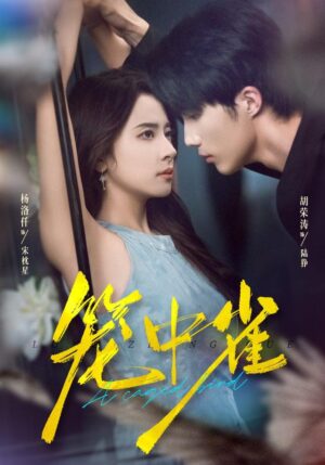 กรงรัก ขังใจ พากย์ไทย (จบ)