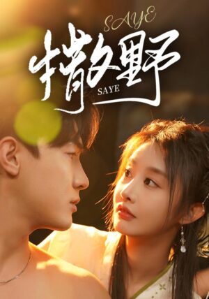 ภารกิจลับของหมอเทวดา พากย์ไทย (จบ)